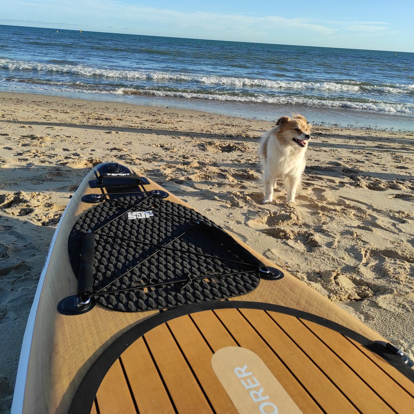 Dog Sticky Mat for Paddleboard, Kayak, Boat