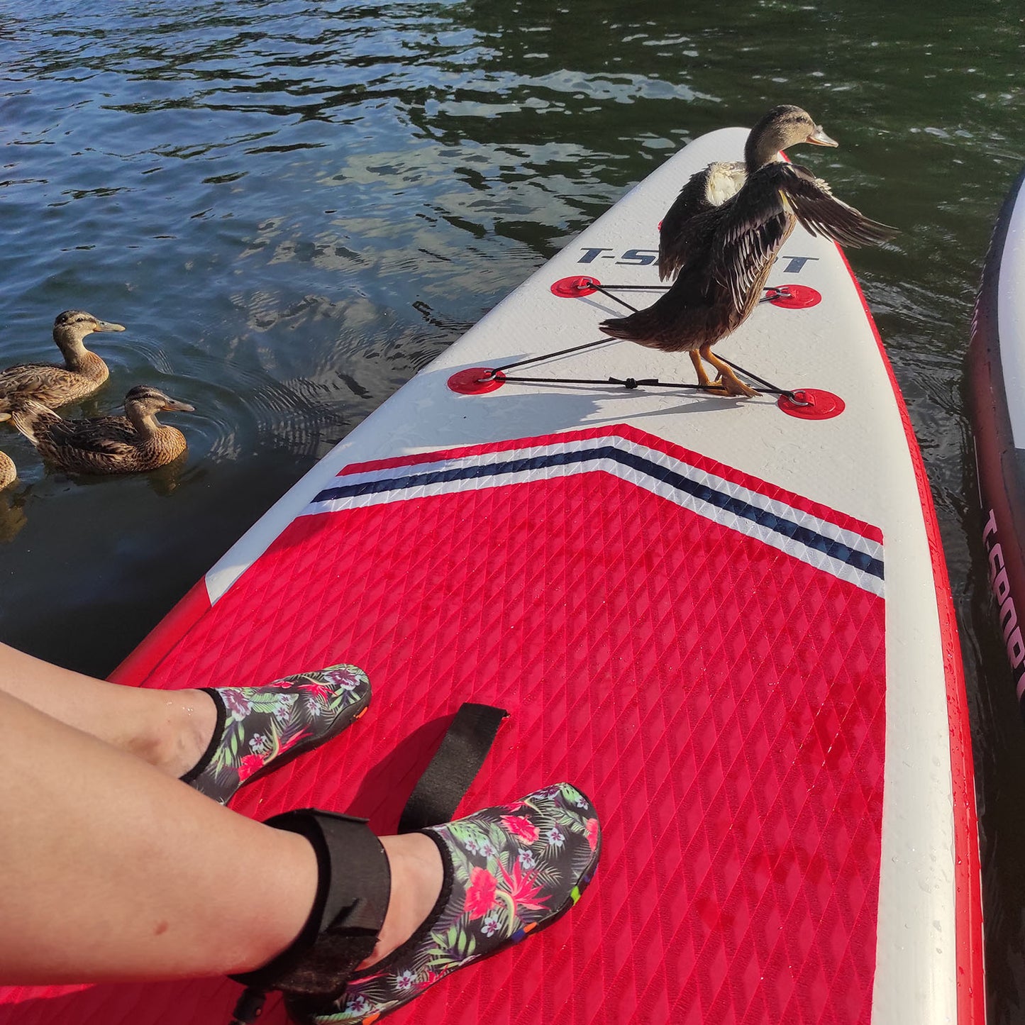 10'6" Red Rocket Inflatable Paddle Board
